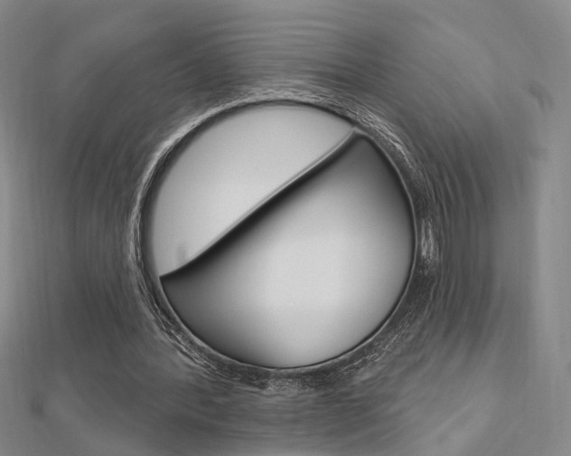 X0000112160388200908070943
