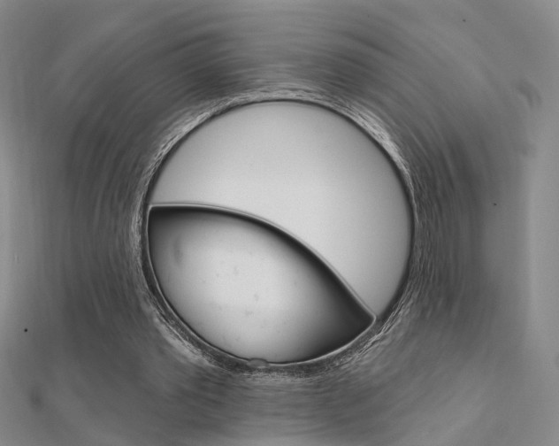 X0000112160389200908070943