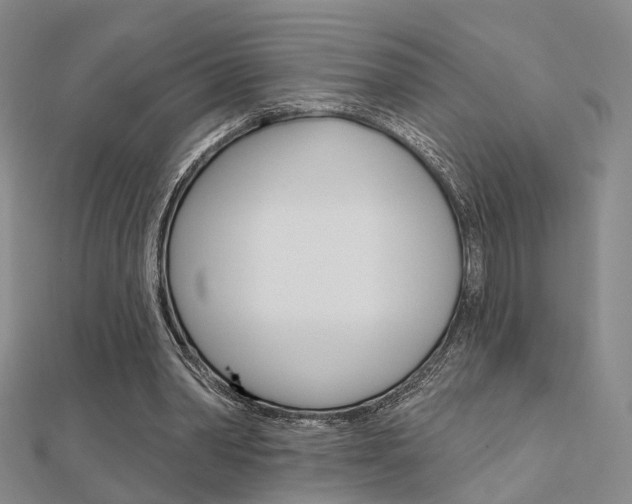 X0000112160390200908070943