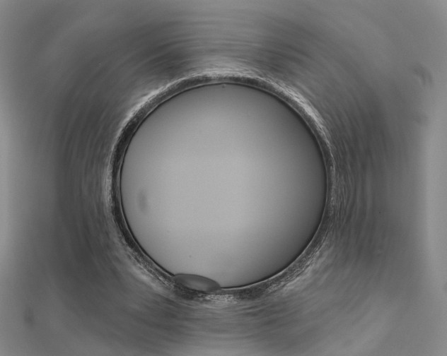 X0000112160391200908070943