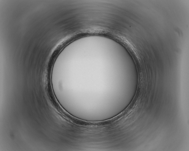 X0000112160392200908070943