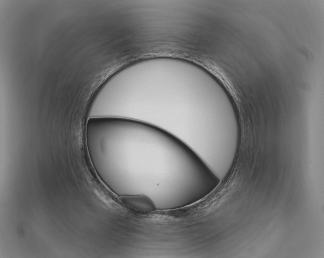 X0000112160393200908070943