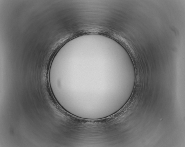 X0000112160394200908070943