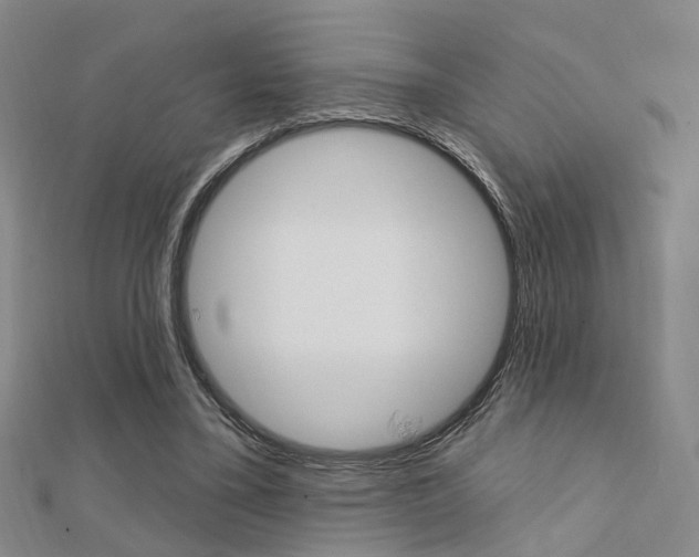 X0000112160395200908070943