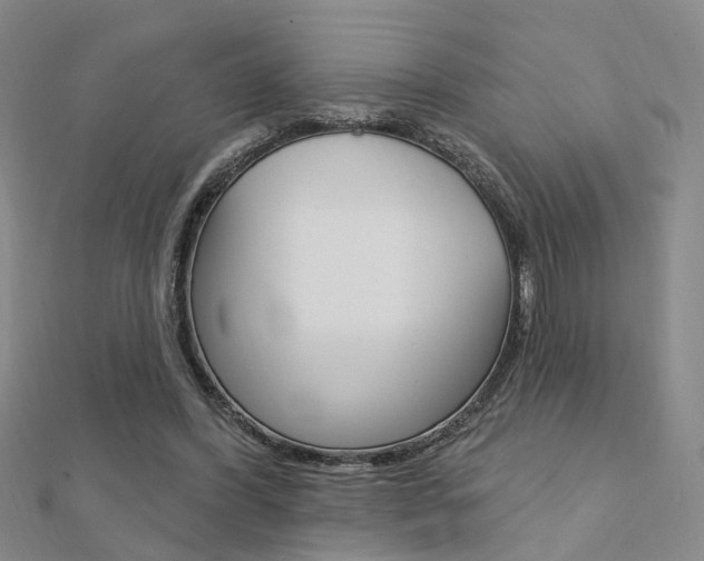 X0000112160396200908070943
