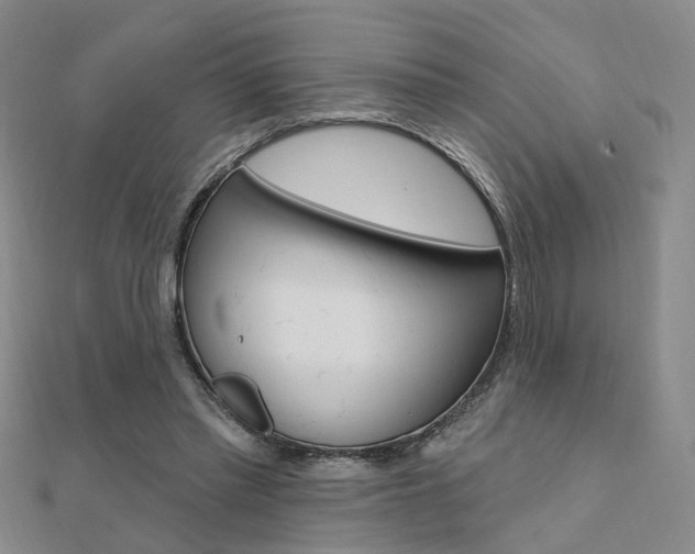 X0000112160397200908070943