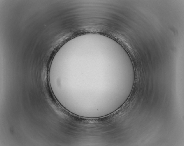 X0000112160398200908070943