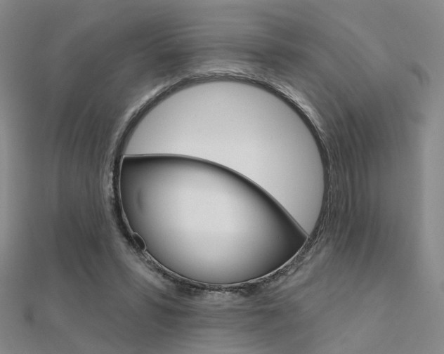 X0000112160399200908070943