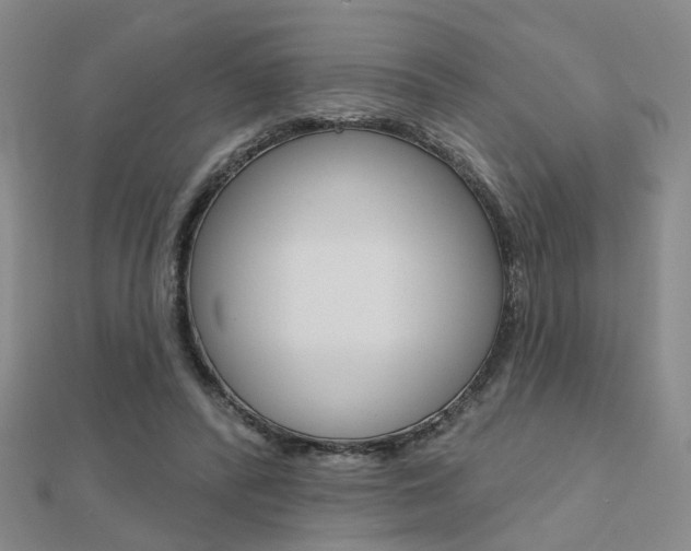X0000112160400200908070943