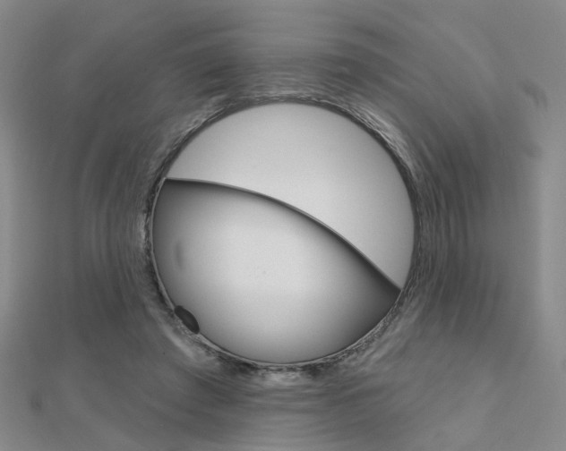 X0000112160401200908070943
