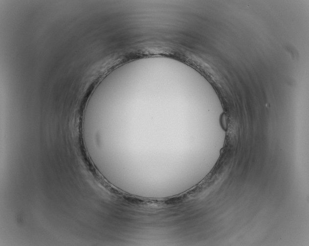 X0000112160402200908070943