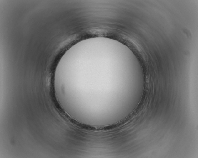X0000112160404200908070943
