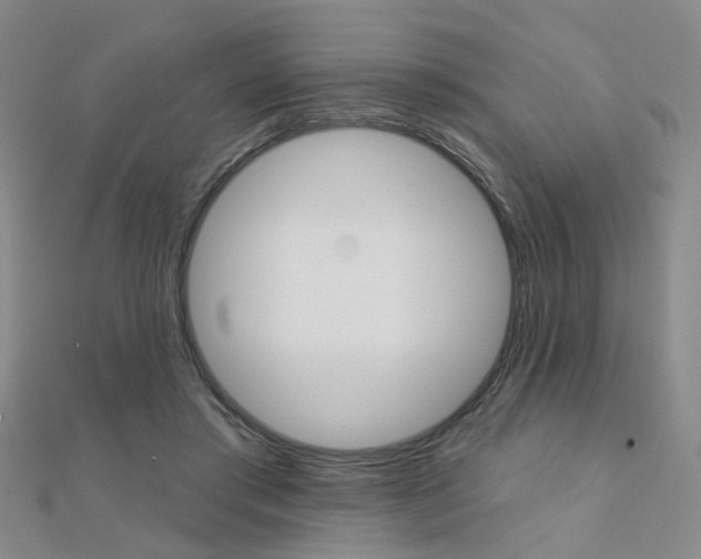X0000112160405200908070943