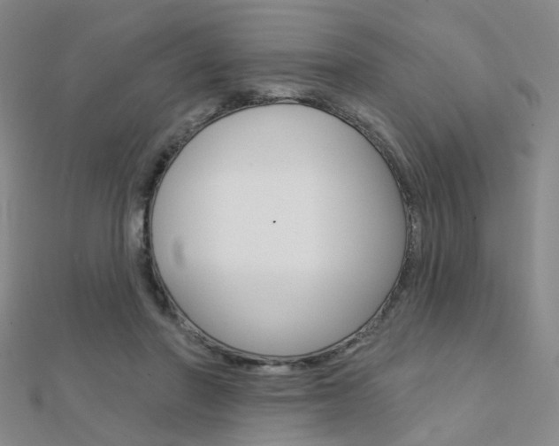 X0000112160406200908070943