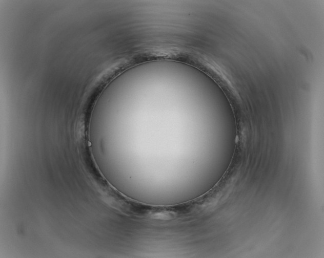 X0000112160407200908070943