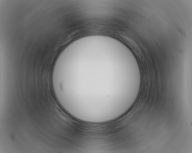 X0000112160409200908070943