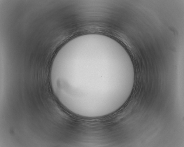 X0000112160411200908070942