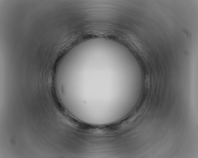 X0000112160412200908070942