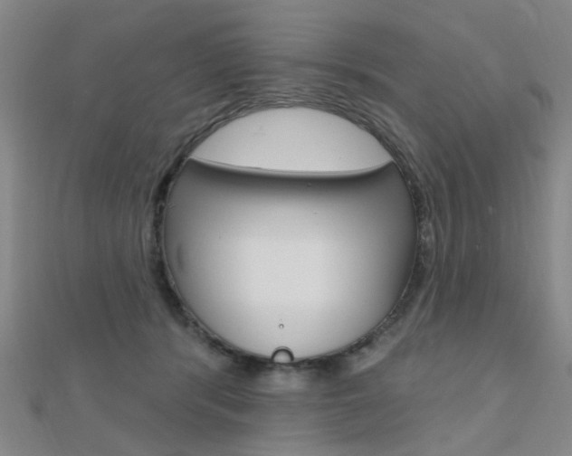 X0000112160416200908070942