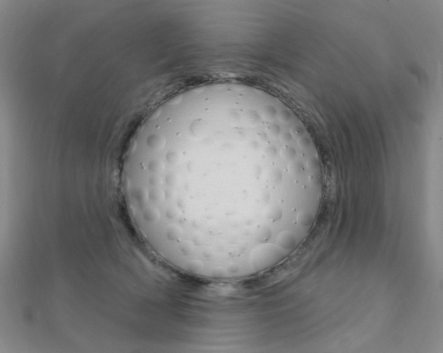X0000112160418200908070942