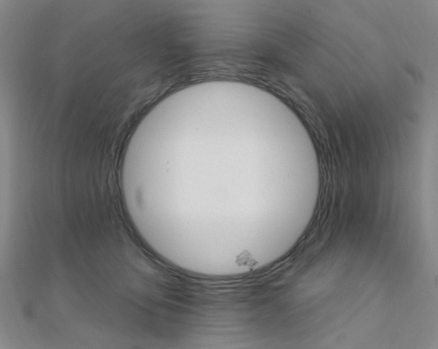X0000112160419200908070942