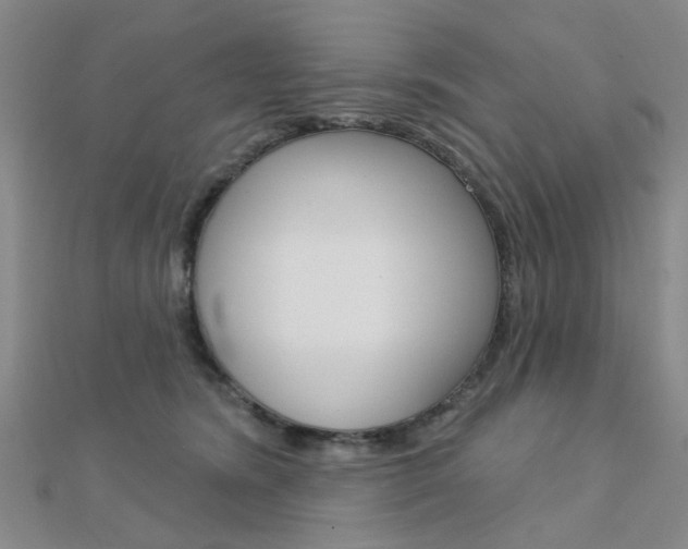 X0000112160420200908070942