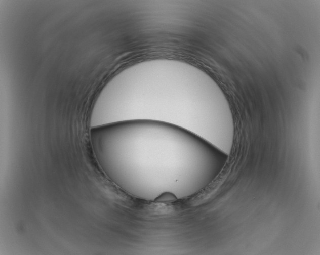 X0000112160421200908070942