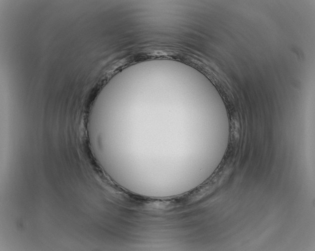 X0000112160422200908070942