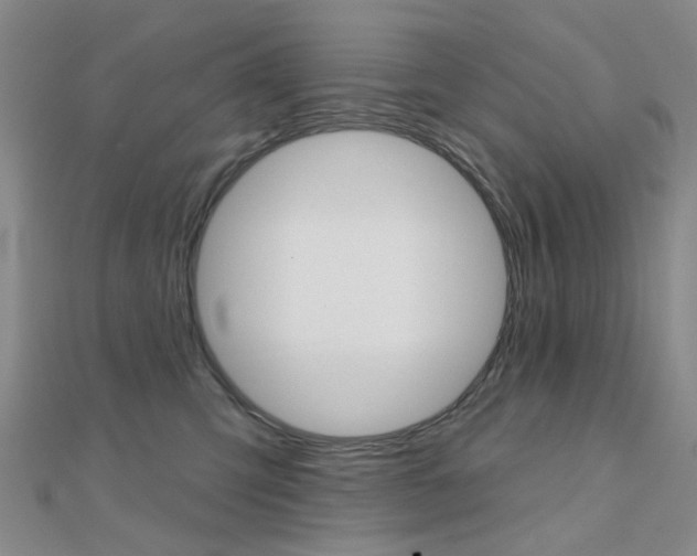 X0000112160423200908070942