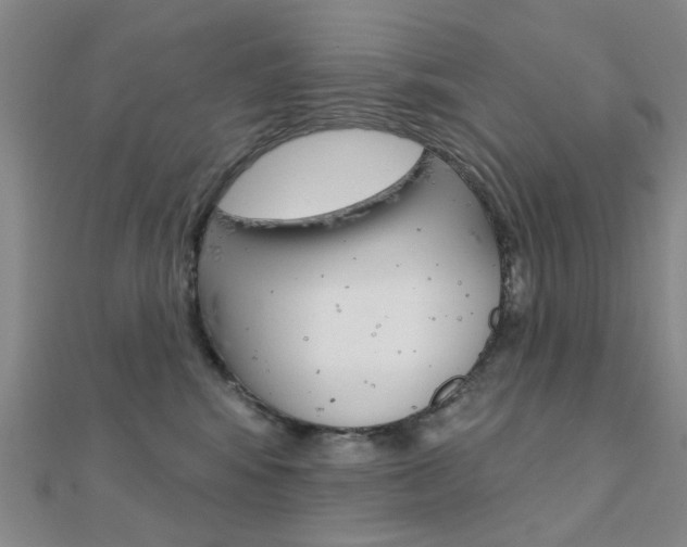 X0000112160424200908070942