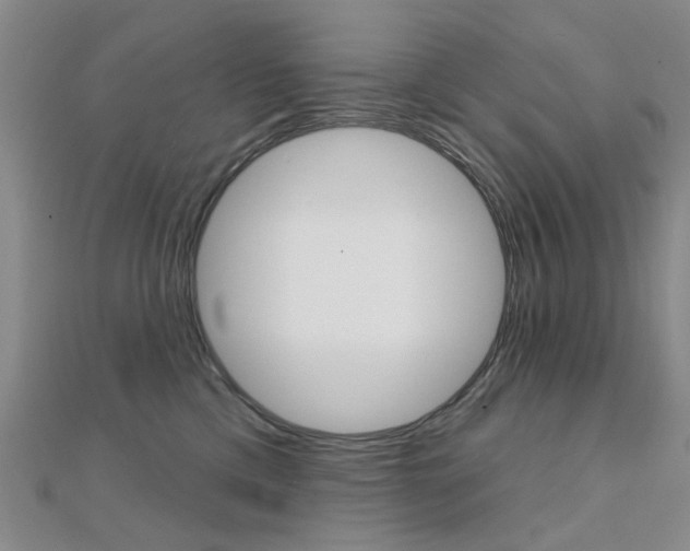 X0000112160425200908070942