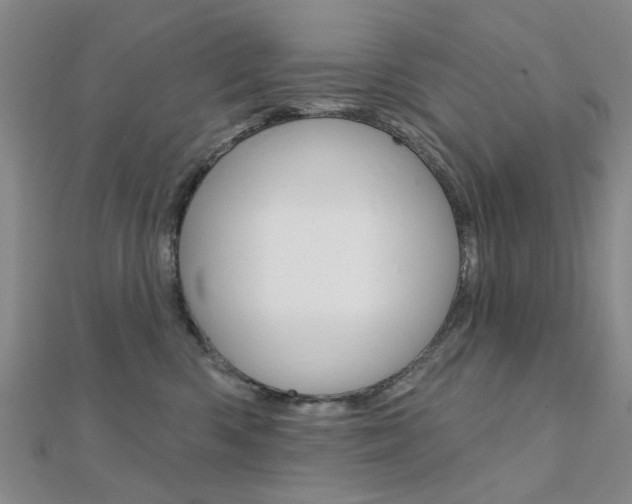 X0000112160426200908070942