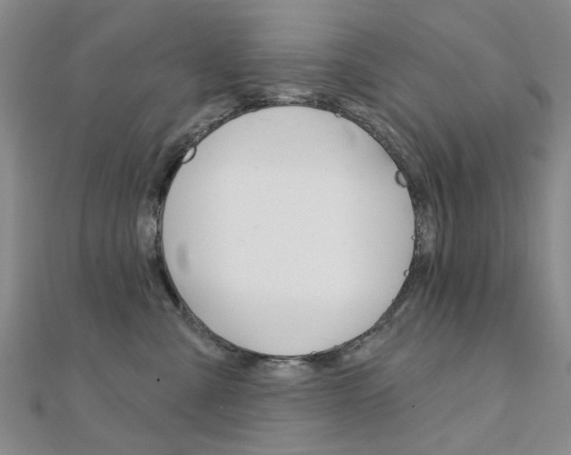 X0000112160427200908070942