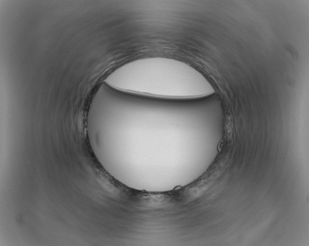 X0000112160428200908070942