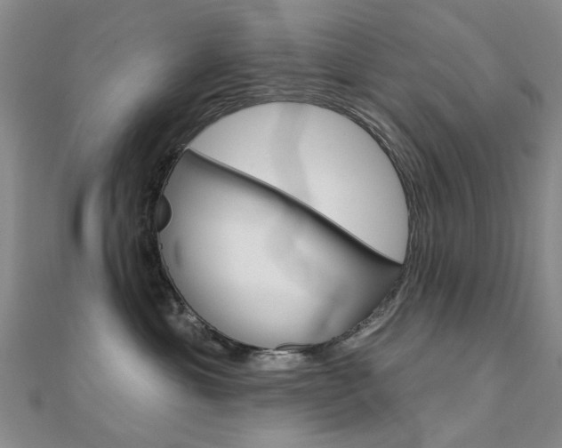 X0000112160429200908070942