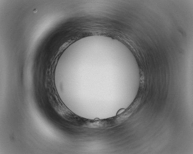 X0000112160430200908070942