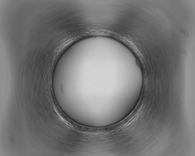 X0000112160433200908070941