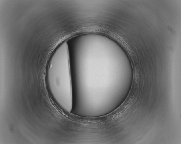X0000112160434200908070941