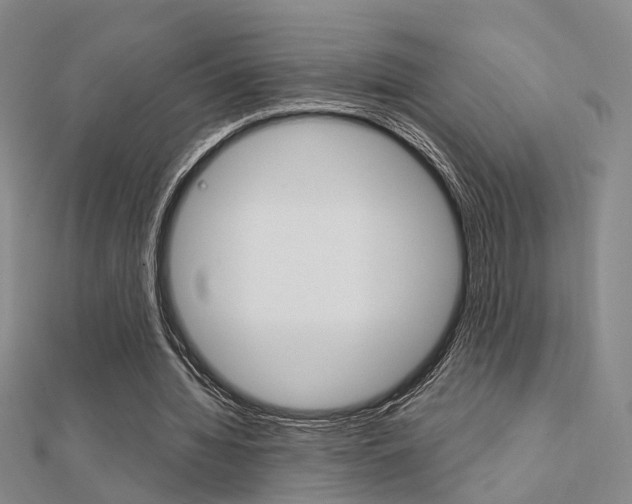 X0000112160436200908070941