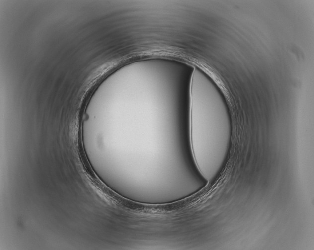 X0000112160437200908070941