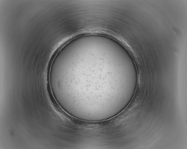 X0000112160438200908070941