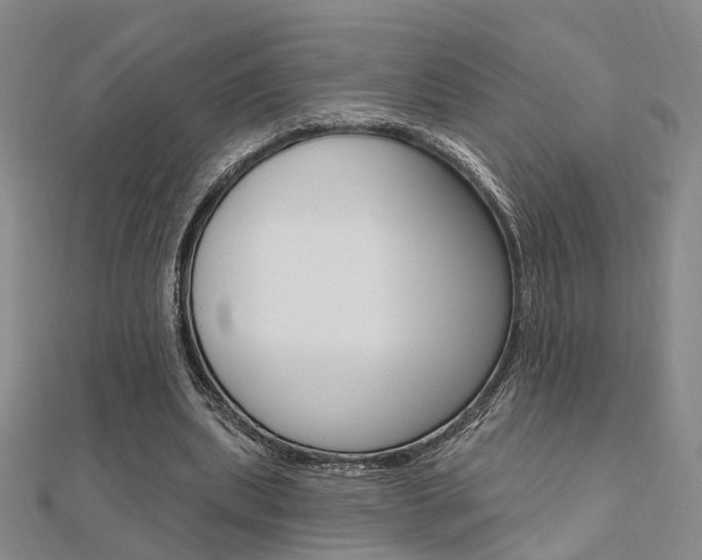 X0000112160439200908070942