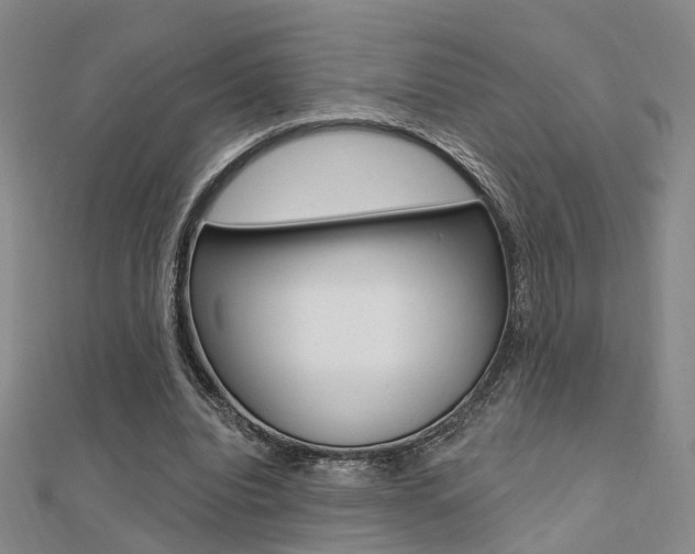 X0000112160440200908070942