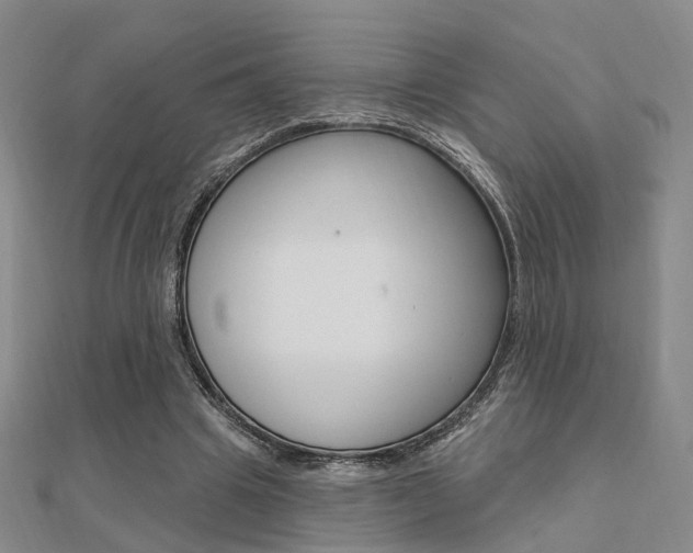 X0000112160441200908070942
