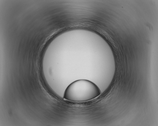 X0000112160444200908070942