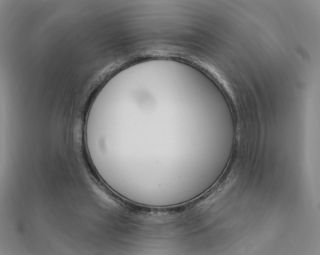 X0000112160445200908070942