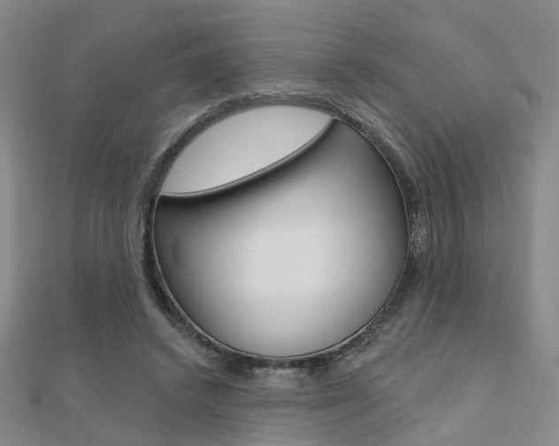 X0000112160448200908070942