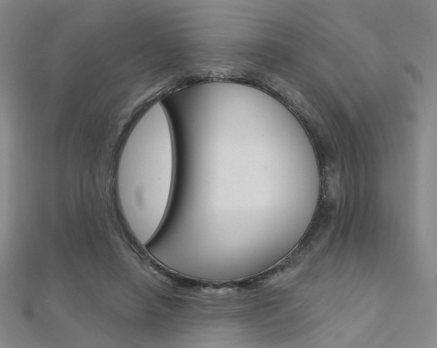 X0000112160450200908070942