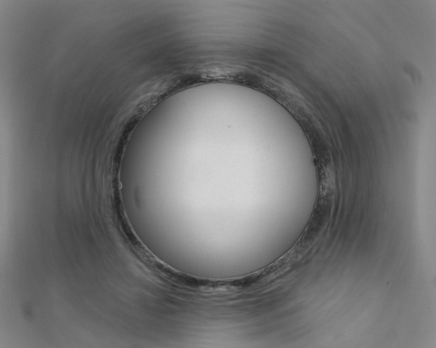 X0000112160452200908070942