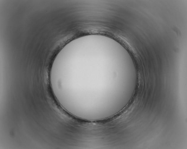 X0000112160453200908070942